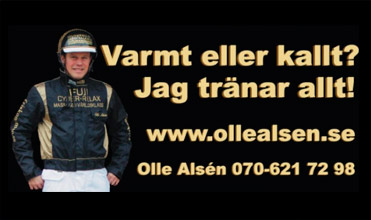 <strong>Olle Alsén</strong><br><a href="http://www.ollealsen.se/" target="_blank">ollealsen.se</a>